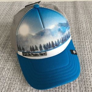 Mountain Hardwear Grey Blue Trucker Hat